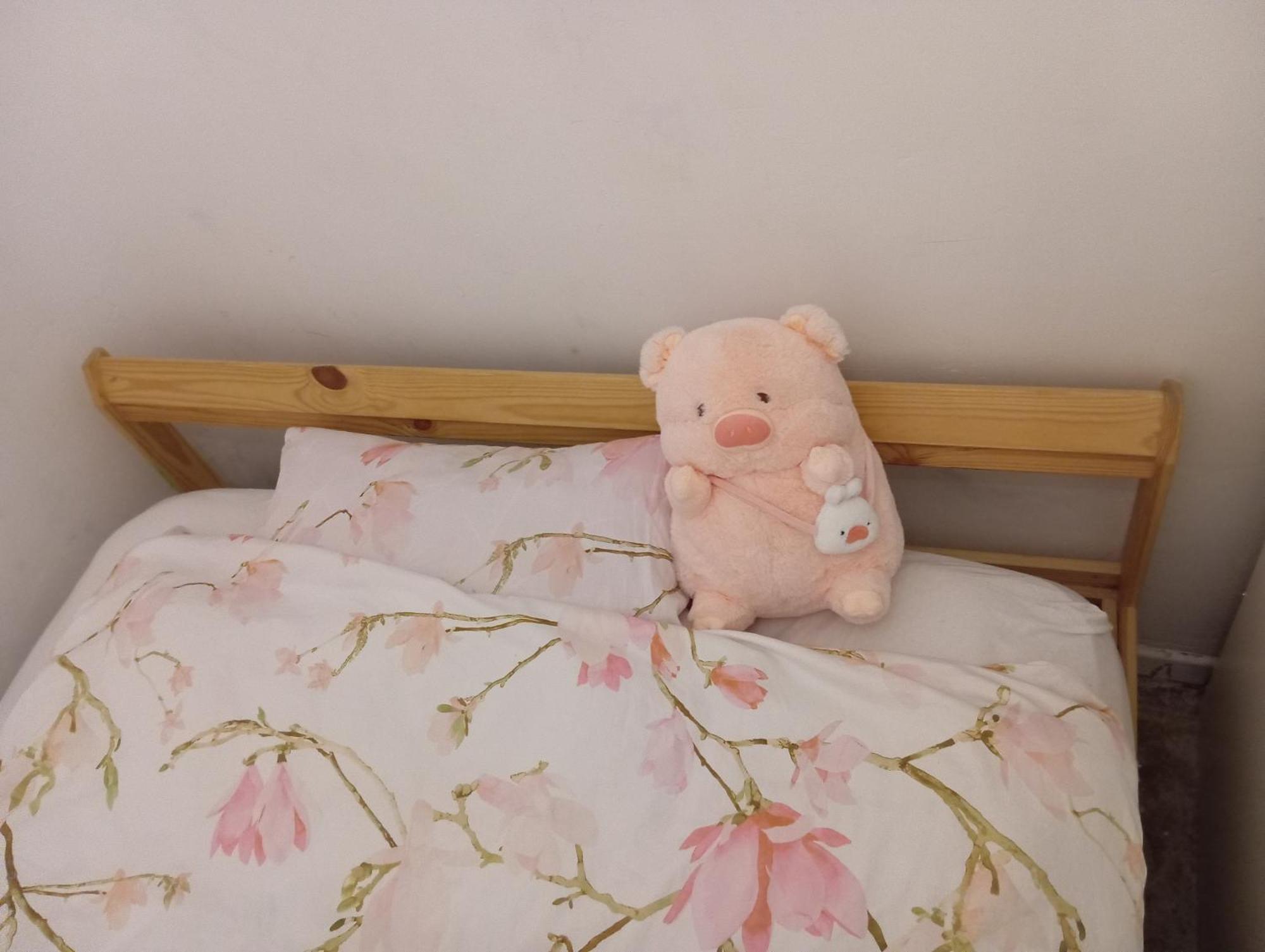 B&B Eco Cubes มาดริด ภายนอก รูปภาพ